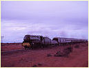 3801,Ivanhoe,Broken Hill