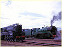 526,3813,Port Pirie