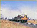 42104,Junee
