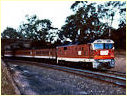 8167,Bargo