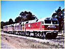 42205,42207,Wingello