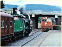 K163,N463,Woodend