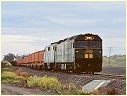BL32,GM45,Lara