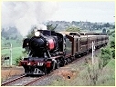 J515,Leongatha